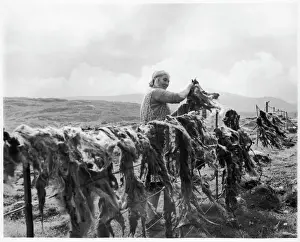 Harris Tweed Drying Print