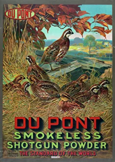 Du Pont smokeless shotgun powder - the standard of the world Du Pont smokeless shotgun powder - the standard of the world