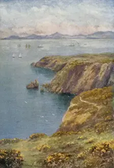 Ireland's Natural Beauty Prints: Dublin Bay / Howth Cliffs