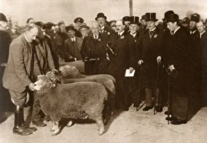 Duke of York at Smithfield Club Fat Stock Show Duke of York at Smithfield Club Fat Stock Show
