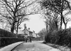 County Londonderry Prints: Early 20th Century Dunmurry Lane Print