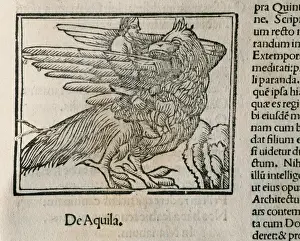 Martial's Epigrams 1514 Print of Eagle