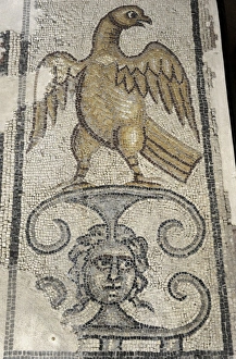 Eagle and Medusa Head. Mosaic floor. Synagogue at Yafia, Low Eagle and Medusa Head. Mosaic floor. Synagogue at Yafia, Low