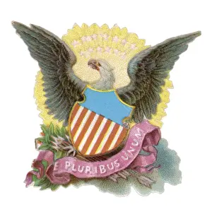 American Eagle Symbolism Prints: Eagle as us Symbol