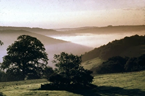 Early morning mist, Tamar Valley, Cornwall Early morning mist, Tamar Valley, Cornwall