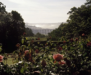 Early morning mists, River Tamar valley, Cornwall Early morning mists, River Tamar valley, Cornwall
