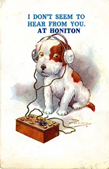 Early radio crystal set, terrier puppy Early radio crystal set, terrier puppy