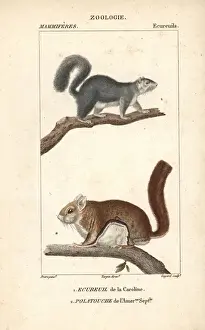 Handcolored Copperplate Stipple Engraving Print 1816