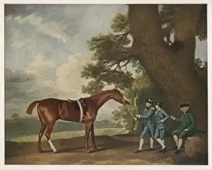 Eclipse Print: A Winning Thoroughbred