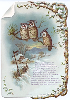 Three educated owls on a New Year card Three educated owls on a New Year card