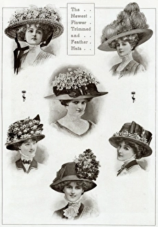 Edwardian floral and feathered hats 1909 Edwardian floral and feathered hats 1909