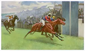 Derby Persimmon Print