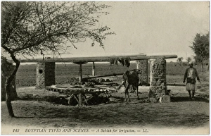 Egypt, Africa - A Sakia, used for irrigation Egypt, Africa - A Sakia, used for irrigation