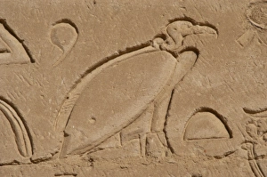 Egypt. Edfu. Temple of Horus. Vulture. Relief Egypt. Edfu. Temple of Horus. Vulture. Relief