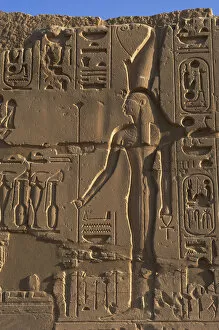 Images Dated 25th November 2003: Egyptian Art. Karnak. The goddess Wadjet. Relief