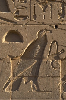 Egyptian Art. Relief depicting a vulture. Karnak Egyptian Art. Relief depicting a vulture. Karnak