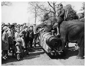 Chessington Zoo Animals Prints: Elephant & Children