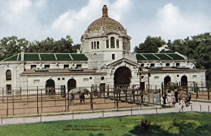 Elephant House in the New York Zoological Park Elephant House in the New York Zoological Park