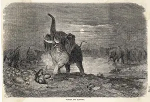 Antique Animal Artwork Prints: Elephant Hunt (Dore)