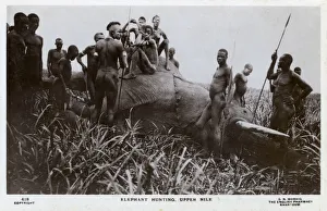 Elephant Hunting, Upper Nile, Sudan, Africa Elephant Hunting, Upper Nile, Sudan, Africa