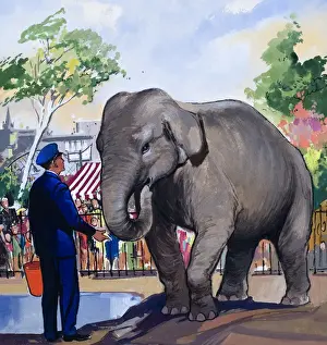 Teddy Bear Illustration Prints: Elephant Keeper