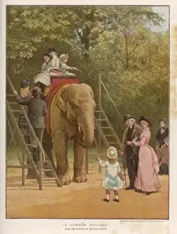 Elephant Ride Print, Regents Park Zoo, London