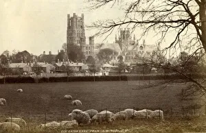 Ely Cathedral, Ely, Cambridgeshire Ely Cathedral, Ely, Cambridgeshire