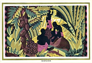 Empire Marketing Board poster - cocoa pod gathering Empire Marketing Board poster - cocoa pod gathering