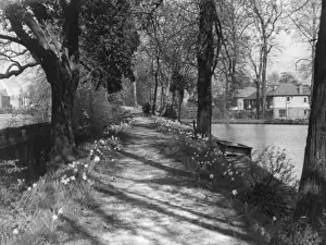 New River Pathway Print, Enfield, England, 1930s
