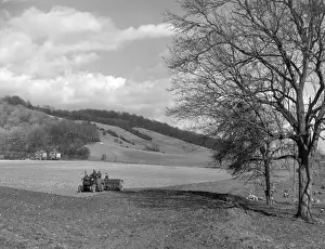 England Countryside Views Prints: England / The North Downs