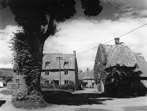 Thatched Cottages England Prints: England / Shenington