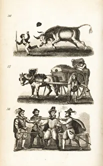 The Enraged Ox, the Dustman and the Taking of Guy Fawkes The Enraged Ox, the Dustman and the Taking of Guy Fawkes