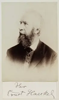 Ernst Haeckel Portrait Print, HMS Challenger Expedition
