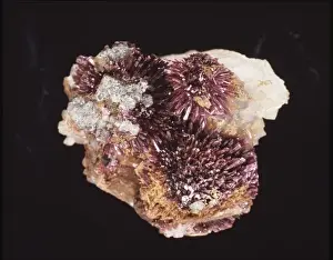 Natural History Museum Specimens Prints: Erythrite