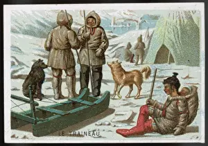 Sled Dogs In Winter Prints: Eskimos Sledge