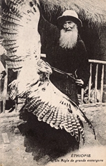 Ethiopia - A large eagle, held by a venerable missionary Ethiopia - A large eagle, held by a venerable missionary