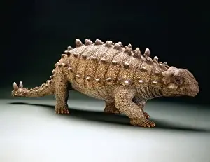 Armoured Dinosaurs Prints: Euoplocephalus