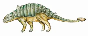 Euoplocephalus Print by Charles R. Knight