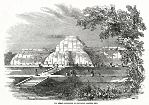 Exterior of the Great Palm-House at Royal Gardens. Date: 1848 Exterior of the Great Palm-House at Royal Gardens. Date: 1848