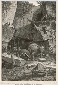 Extinct Birds Prints: Extinct Animals 19C