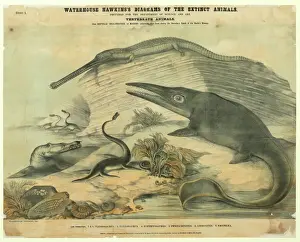 Extinct Jurassic Marine Reptiles Print circa 1862