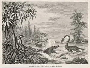 Plesiosaur and Ichthyosaur Print