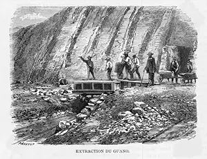Chincha Islands Guano Extraction Print
