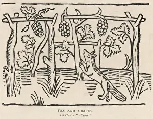 AESOP Fables Prints: Fable / Fox & Grapes