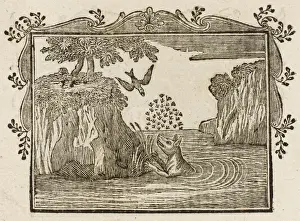 Mary Evans Print: The Fox and the Swallow