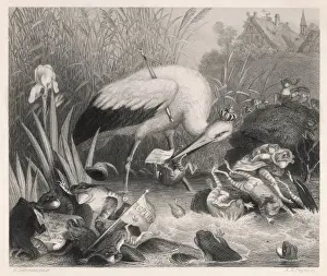 Fable Print: King Stork Devours Frogs