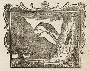 A Magpie and a Raven Print