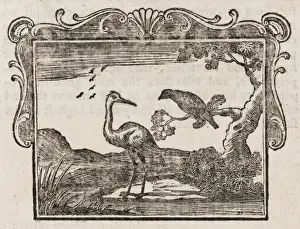 Prints of THE STORK and THE CROW A stork and a crow argue about who is most favoured by Jupiter Aesop Prints: The Stork and the Crow Print - Ancient Fable