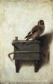 FABRITIUS, Carel (1622-1654). The Goldfinch. ca FABRITIUS, Carel (1622-1654). The Goldfinch. ca