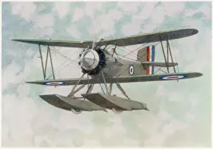Royal Navy Aviation History Prints: FAIREY FLYCATCHER